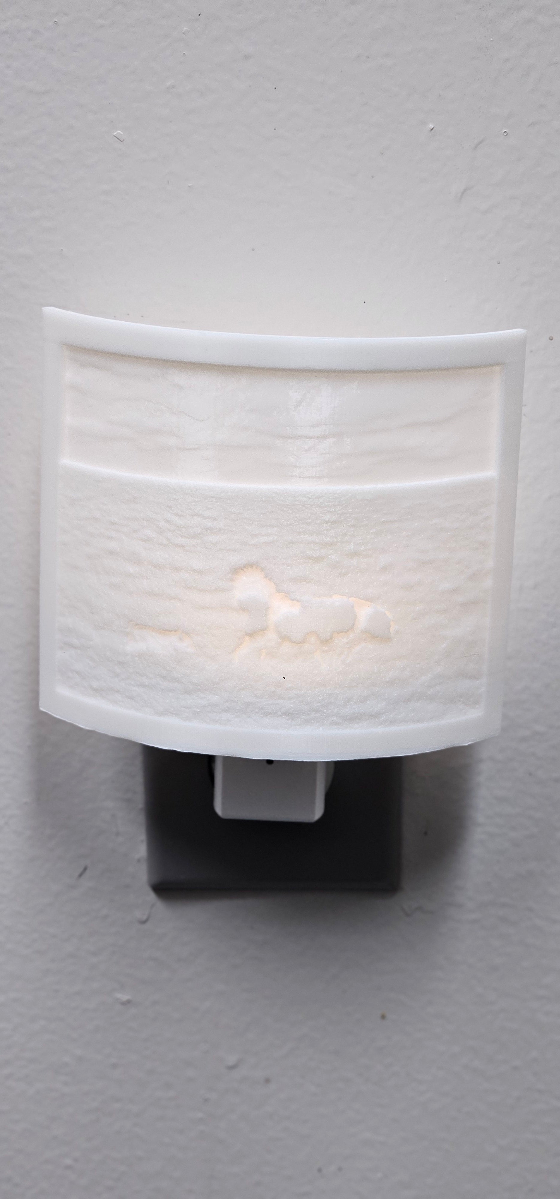 Lithophane Night Light - Personalized Item
