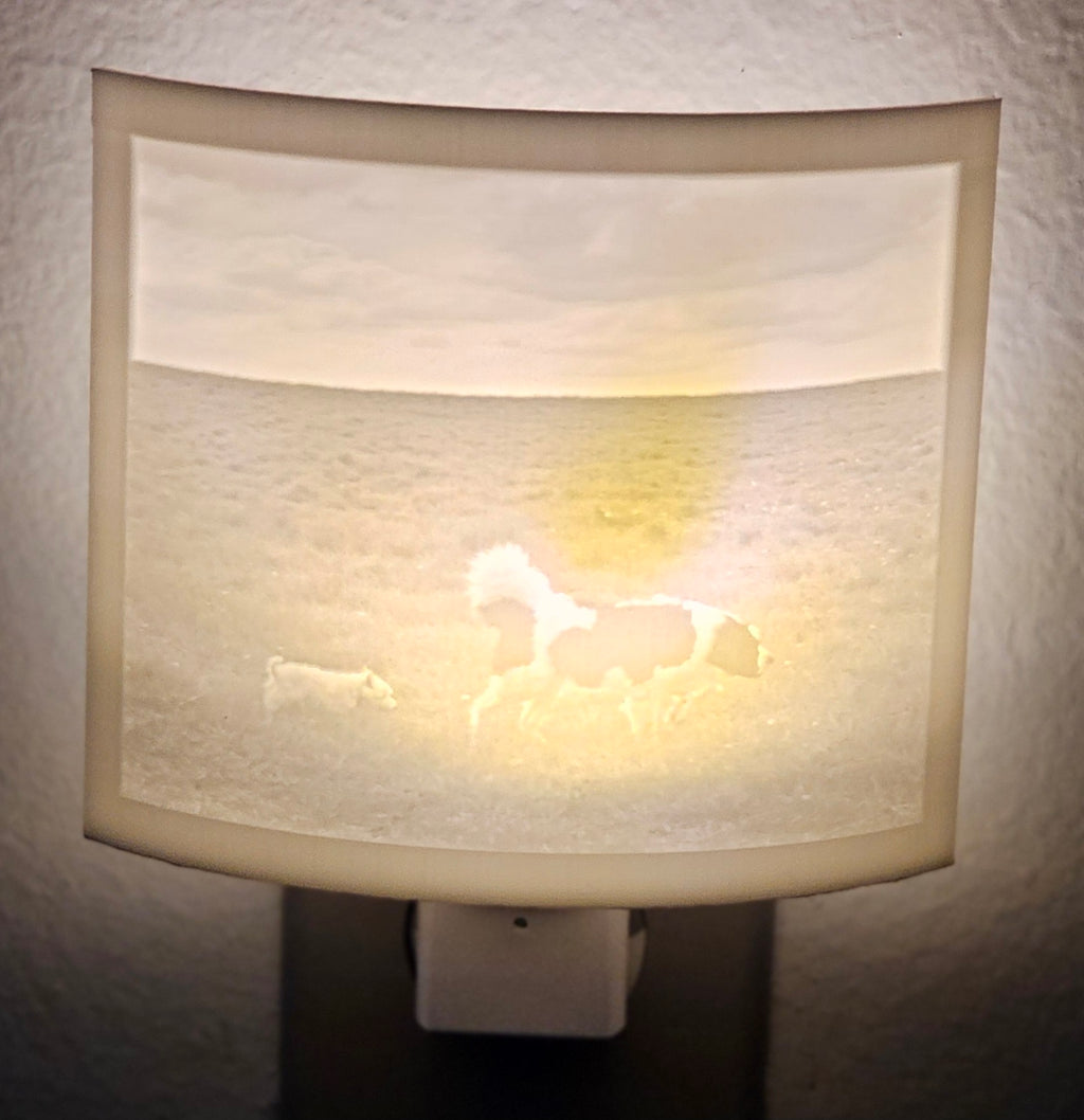 Lithophane Night Light - Personalized Item
