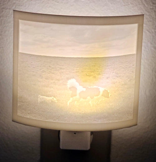 Lithophane Night Light - Personalized Item
